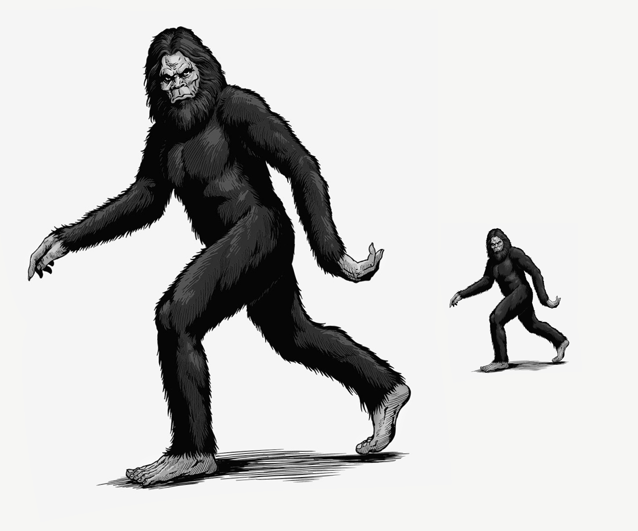 Illustration Design by yadunath for Alexander Industries | Design #21207701