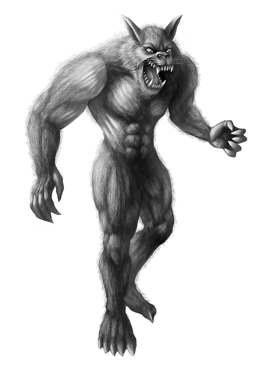 Illustration Design by Nyoman meyka td for Alexander Industries | Design #21240149