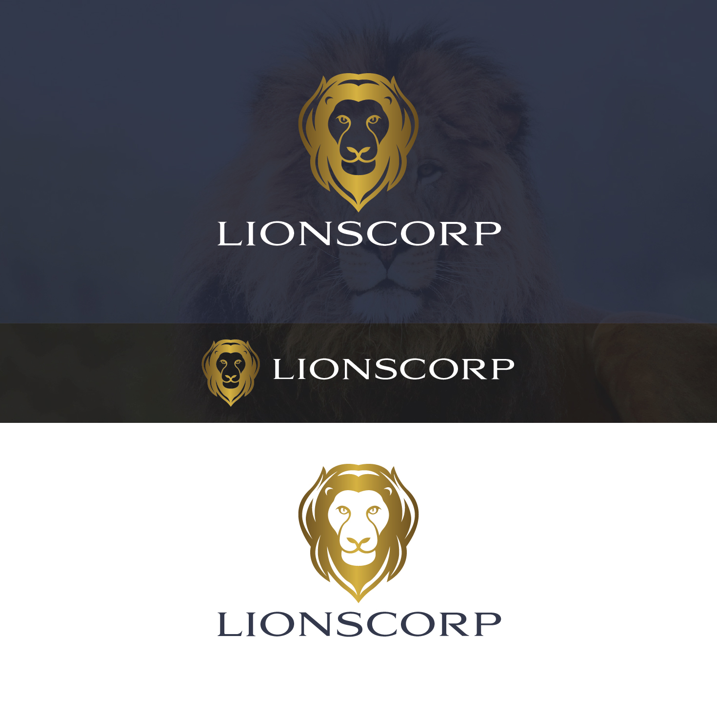 Logo Design by Maxo-Biz for Lionscorp LTD | Design #21182772