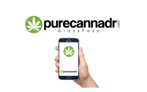 Logo Design by GODDREAMCREATION for Adam's Projects  | Design: #21197475