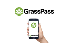 Logo Design by GODDREAMCREATION for Adam's Projects  | Design: #21202297