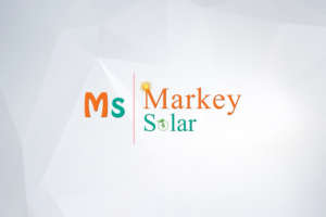 Logo Design by Akashthapliyal