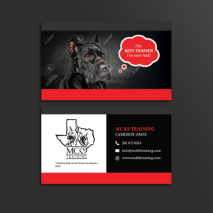 Business Card Design by PetraB.