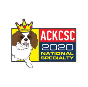 Graphic Design by desainerd for American Cavalier King Charles Spaniel Club | Design #21226080