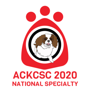 Graphic Design by tandogan for American Cavalier King Charles Spaniel Club | Design #21245316