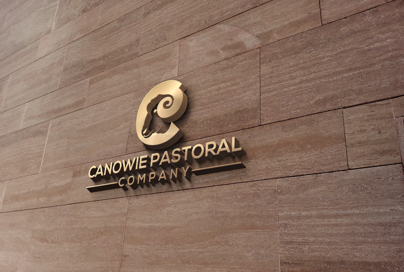 Diseño de Logo por monmon para este proyecto | Diseño #21204086