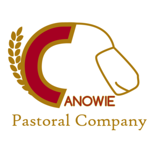 Logo Design by HDauberton for this project | Design #21253835