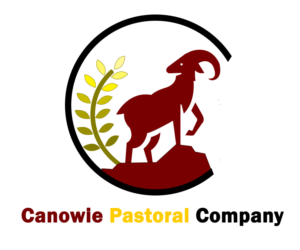 Logo Design by Siddharth Pandya 2 for this project | Design #21208765