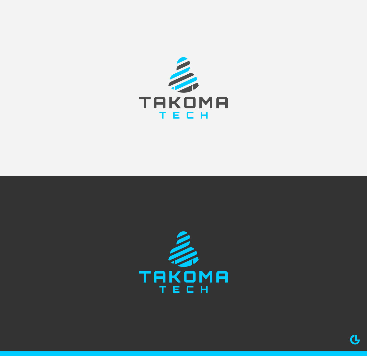 Logo Design by R!CKY for Takoma Tech | Design #21222828