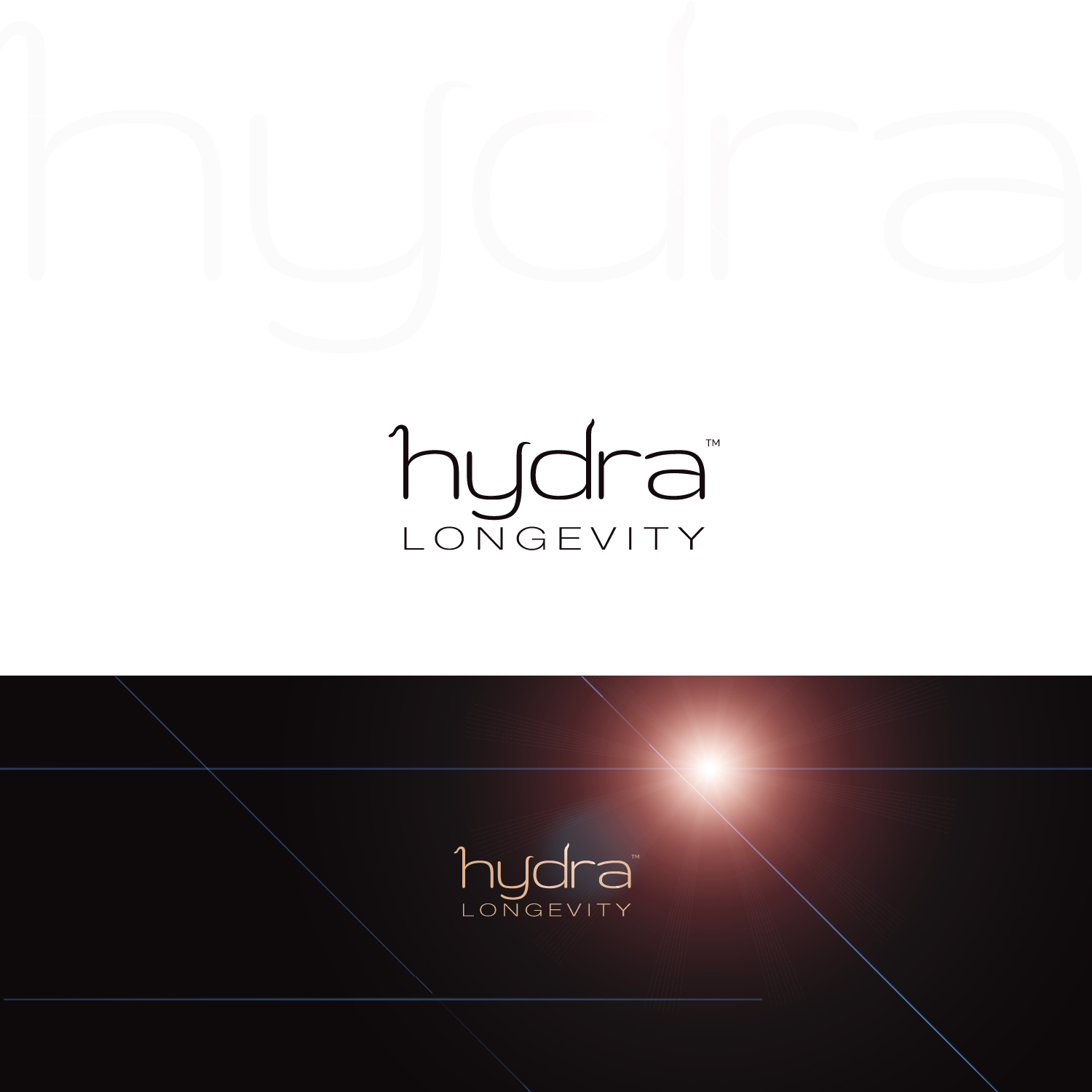 Diseño de Logo por CanDoDesign para este proyecto | Diseño #21221637