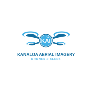 Logo Design by Top1Design