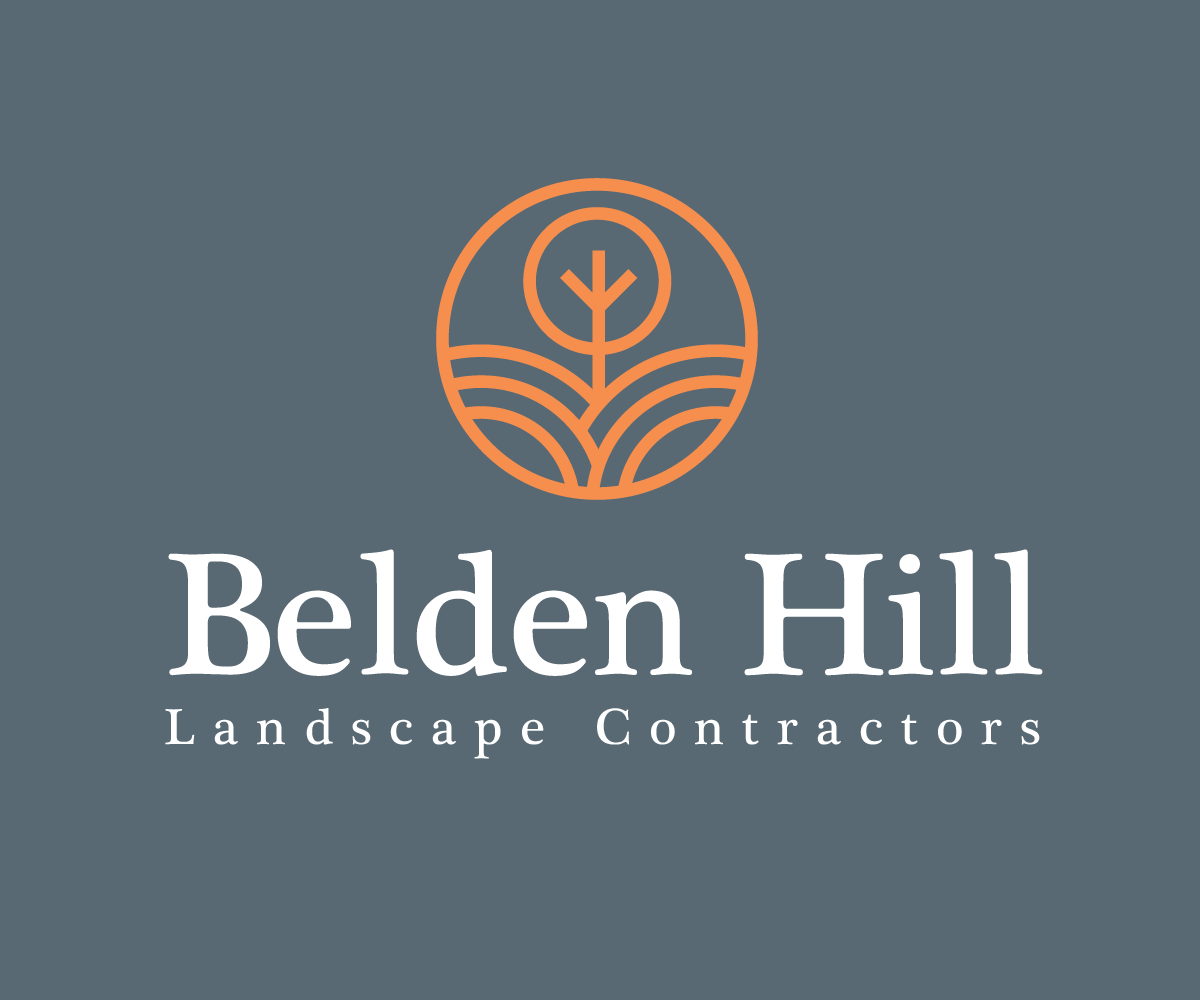 Logo-Design von Magai für dieses Projekt | Design #21228705