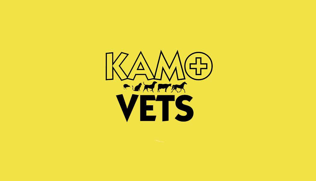 Logo Design by Steve Morales 2 for Dudley & Dennis Signs | Design #21214066