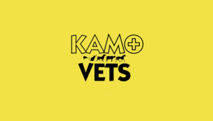 Logo Design by Steve Morales 2