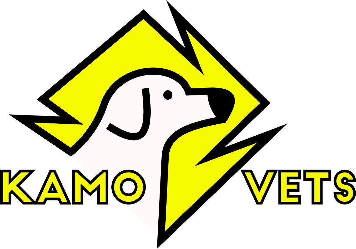 Logo Design by vitória.lopes for Dudley & Dennis Signs | Design #21228552