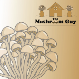 Logo Design by Best Art2 for this project | Design: #21259872