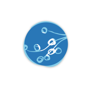 Logo Design by Chanel for this project | Design: #21261979