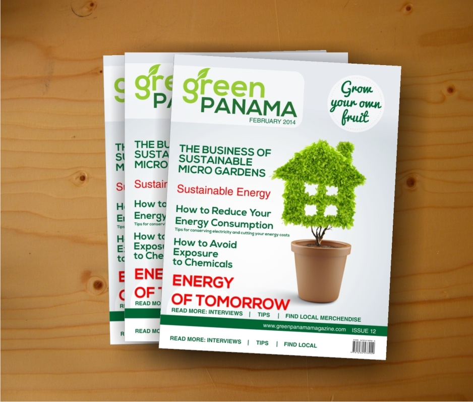 Magazine Design by charmionne for this project | Design #2949502