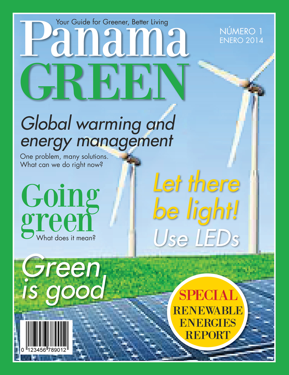 Magazine Design by Ekanite for this project | Design #2961640