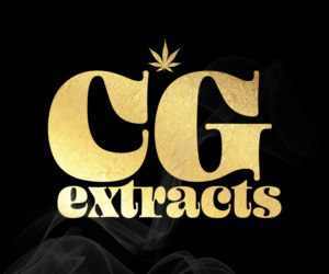 Logo Design by Sherif Samy