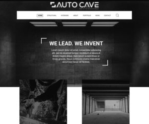 Web Design by Abhiranjan Yadav for this project | Design: #21245449