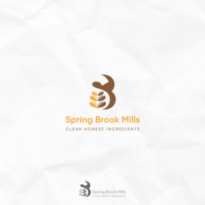 Logo Design by Designer-Geek for CleverLight | Design #21257311