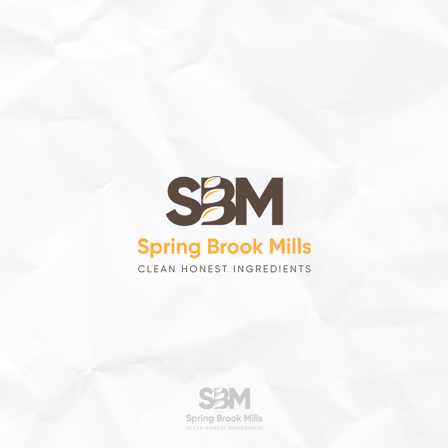 Logo Design by Designer-Geek for CleverLight | Design #21258213