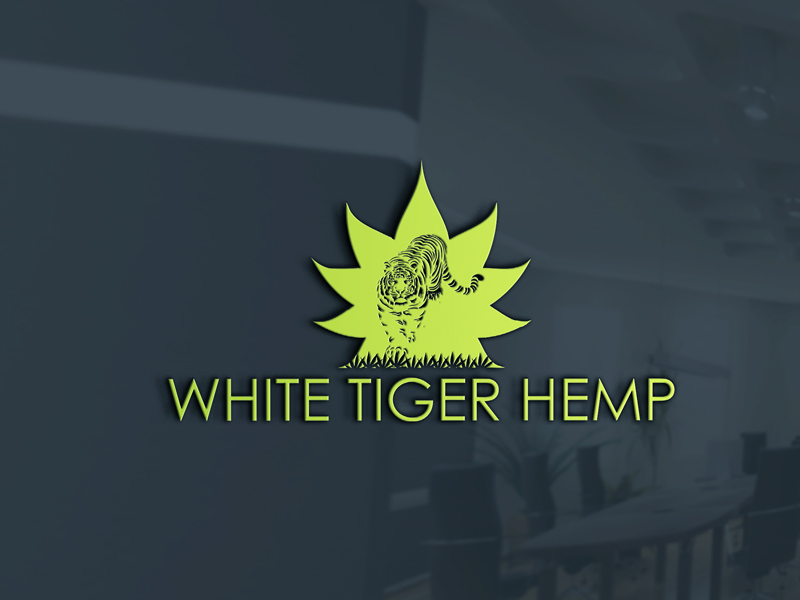 Logo Design by LionStudioz for this project | Design #21238053