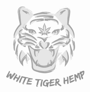 Logo Design by Graphicraft Ireland