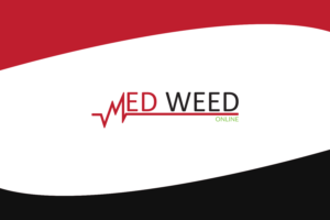 Logo Design by Shovon9615