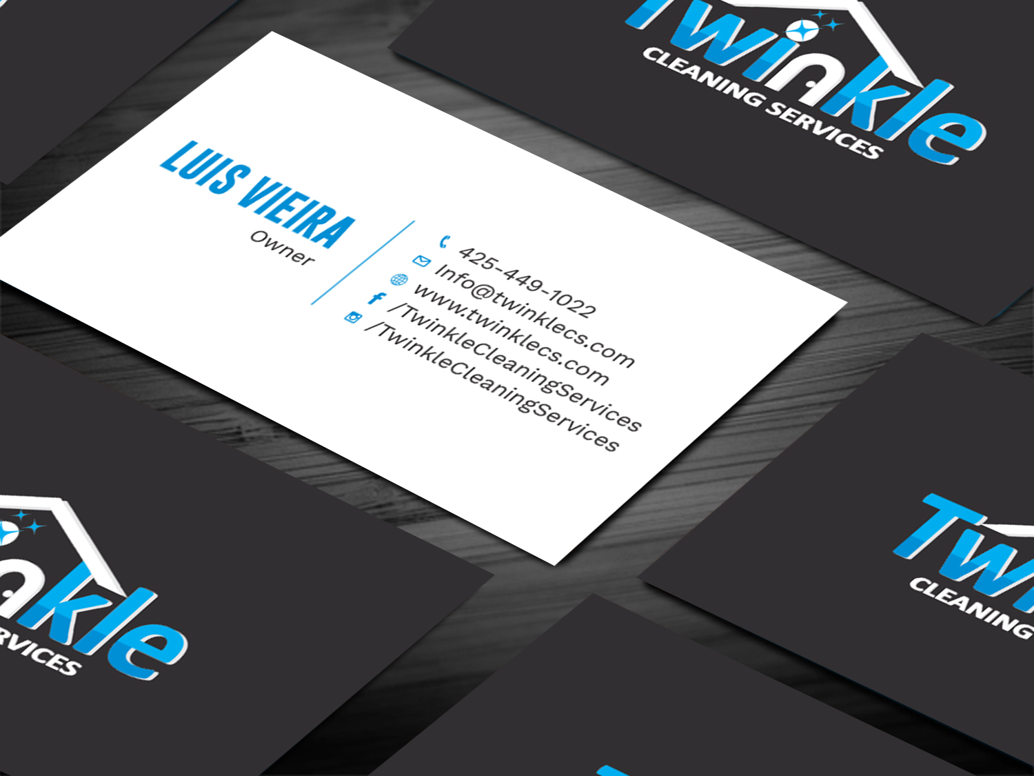 Business Card Design by Tripti Ranjan Gain for Twinkle Cleaning Services, LLC | Design #21274463