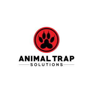 Logo Design by Arrow Designs
