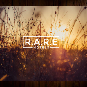 Logo Design by abdulhadi22