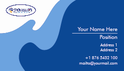 Business Card Design by efenzet