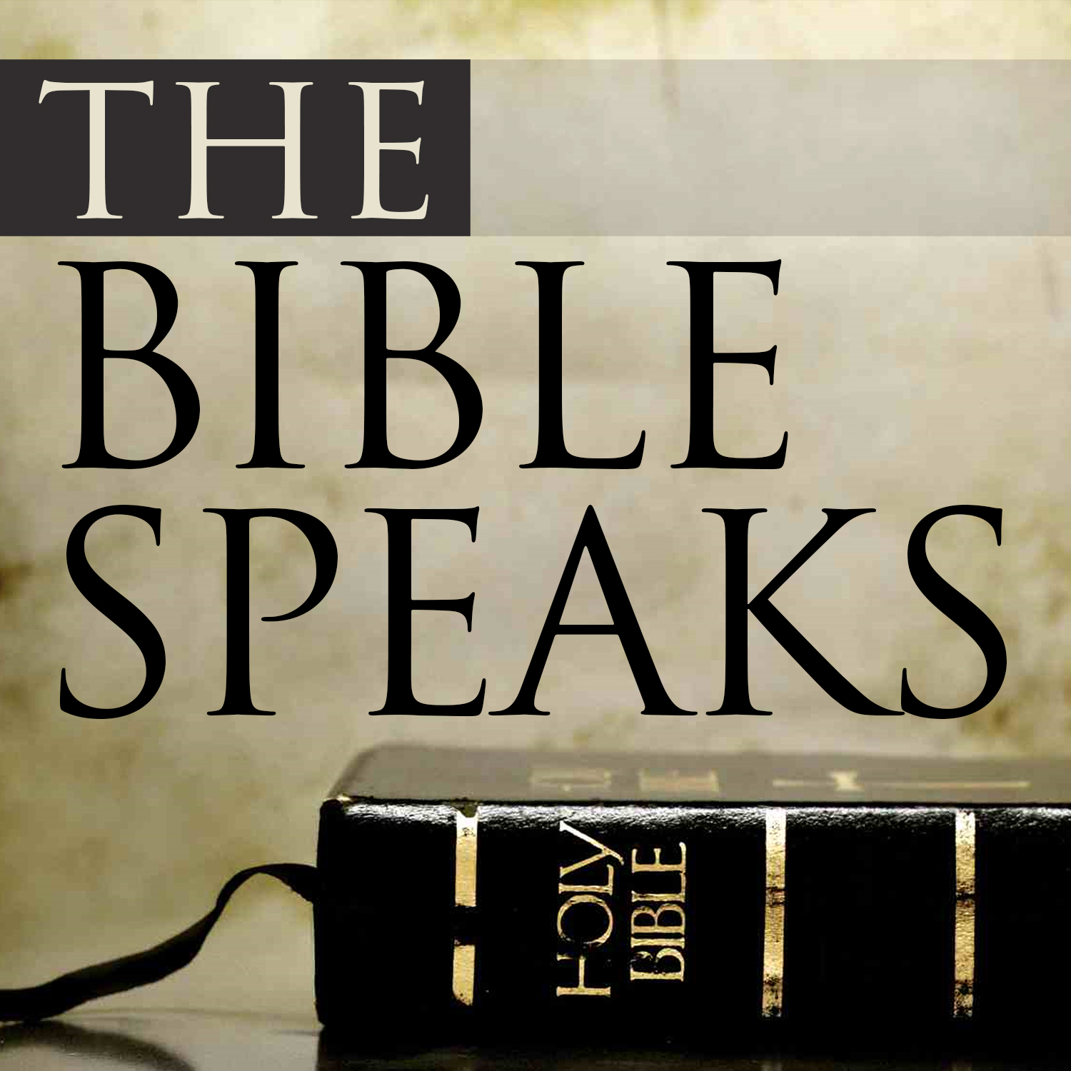 Podcast Design by fivestar for The Bible Speaks to You | Design #21559446