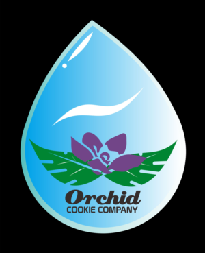 Logo Design by Zaka 13