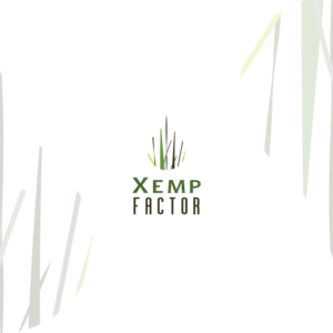 Logo Design by BrankoCekov for this project | Design: #21267411