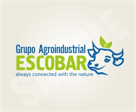 Logo Design by Valeriu Dudau