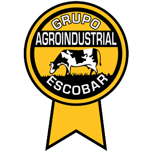 Logo Design by derisi