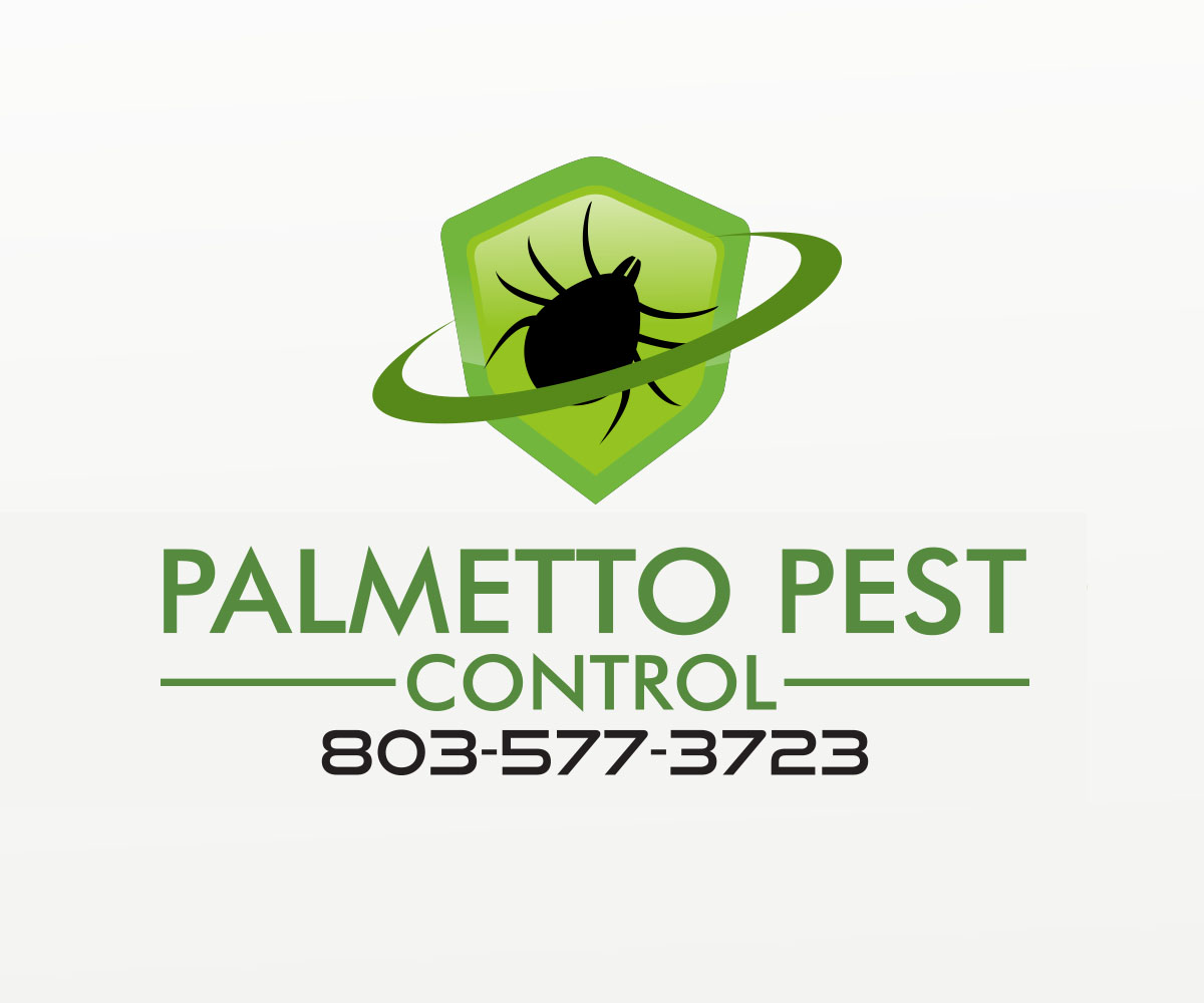 Logo-Design von umair 11 für dieses Projekt | Design: #21267557