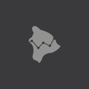 Logo Design by Al_fiannur21
