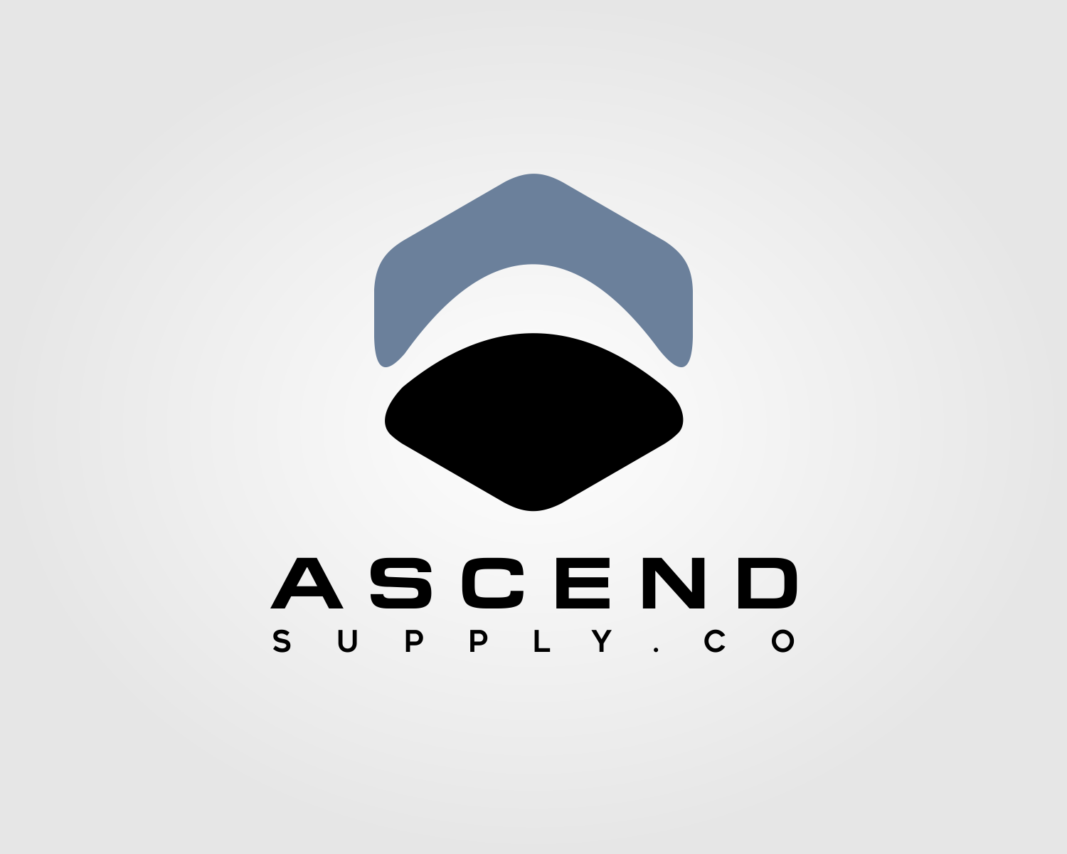 Logo Design by AisRafa.com for this project | Design #21267807