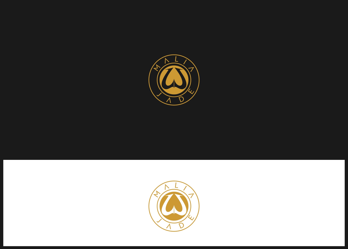 Logo Design by eiffel tesla for this project | Design #21361793