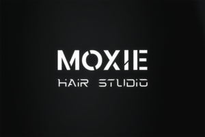 Logo Design by Akashthapliyal