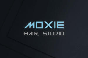 Logo Design by Akashthapliyal for this project | Design: #21276904