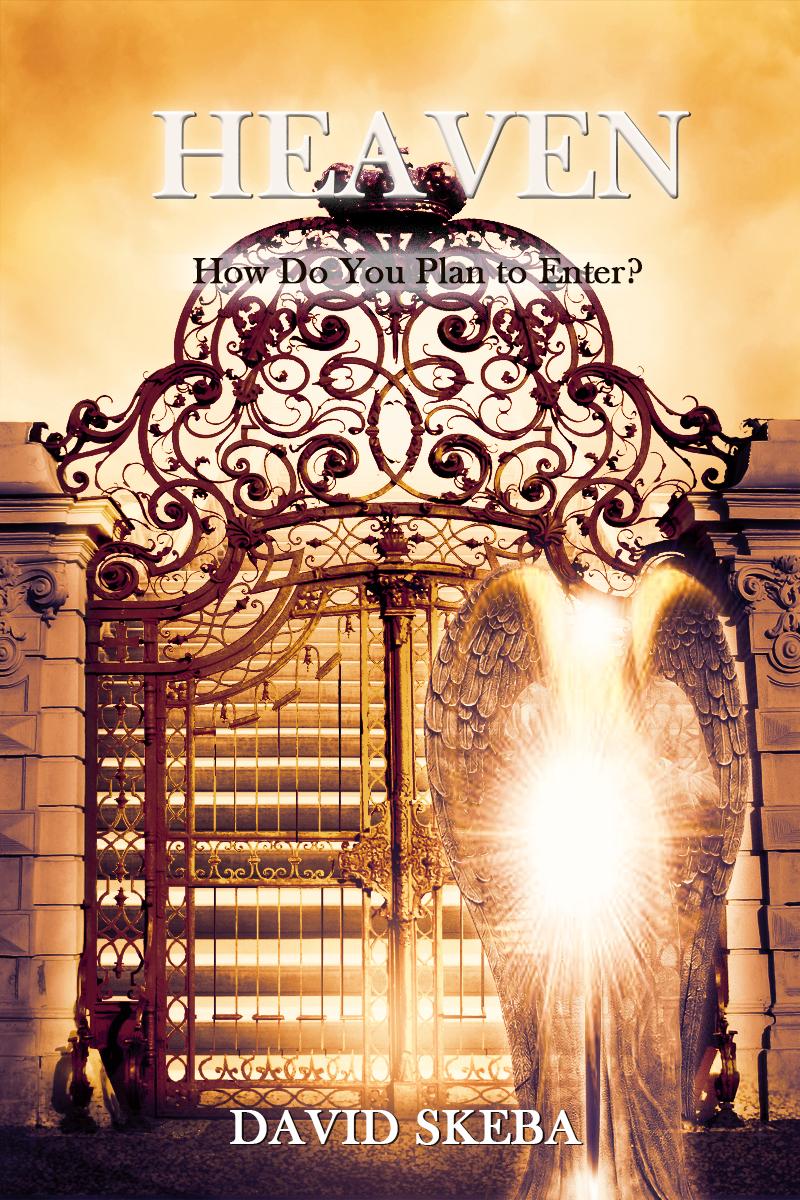 Book Cover Design by sormaz.tanja for Discover Ministries | Design #21639728