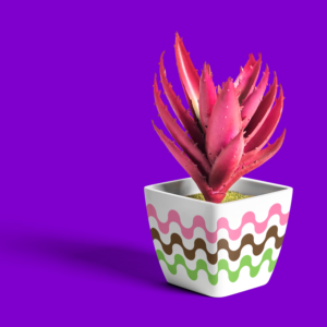 Design a New Indoor Planter (aka Plant Pot) & Or Stand | Diseño Gráfico por Omee