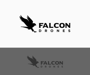 Falcon Drones | Logo Design by B8