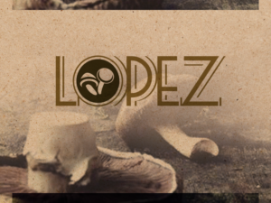 Logo Design by evieplusdesign for this project | Design: #21329978