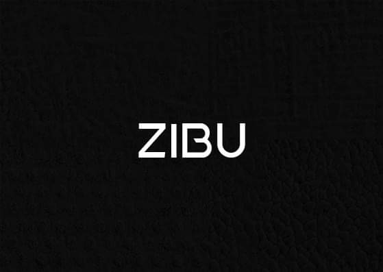 Logo Design by nicolca37 for ZIBU | Design #21315600